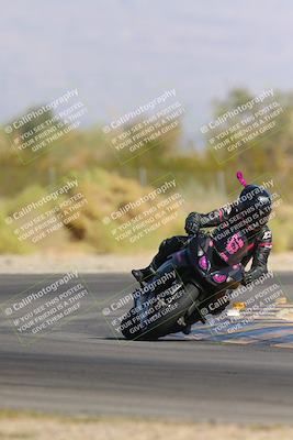 media/Nov-11-2023-SoCal Trackdays (Sat) [[efd63766ff]]/Turn 2 Set 2 (1145am)/